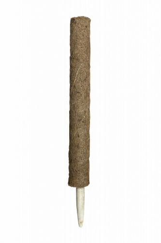 Kokosstick naturel | 40 mm x 60 cm | Pauw