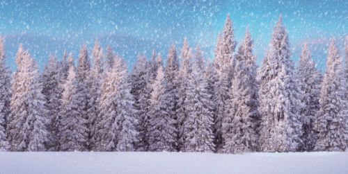 My Village | Achtergronddoek sneeuwbos | 150x75cm